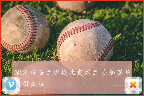欧洲杯芬兰迎战北爱尔兰 小组赛角逐引关注